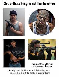 Pro Gun Doctors Group Disbands Amid Accusations Of Racism