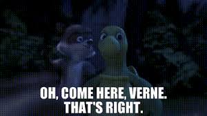 Verne over the hedge meme. Yarn Oh Come Here Verne That S Right Over The Hedge 2006 Video Gifs By Quotes 76d323d6 ç´—