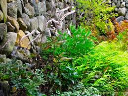 Beautiful & easy to maintain. Fashionably Late Dressed In Maroon Sweetly Scented Autumn Fairy Candles Light Up The Shadowy Secret Garden The Gardener S Eden