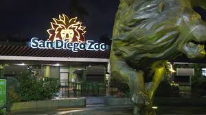 Address, phone number, san diego zoo reviews: 9 Great Apes Get Covid 19 Vaccinations Following Outbreak At San Diego Zoo Ktla