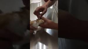Kedilere Pire Damlasi Uygulamasi Youtube