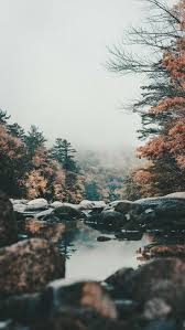 Pin By Aylin Surucu On Wallpaper Landscape Wallpaper Nature Photography Nature Pictures