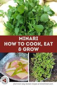 무대론 천천히 돌아와도 되니 얼른 나아요. 30 Korean Vegetable Gardening Ideas In 2021 Korean Vegetables Korean Food Korean Side Dishes