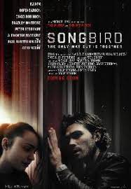 Pin On Song Bird