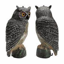 Owl pest control dublin office. Outdoor Hunting Large Realistic Owl Decoy Straight Head Pest Control Crow Garden Yards Scarer Scarecrow Pest Decorations Sale Banggood Com