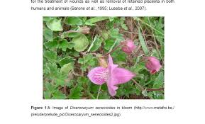 Image result for Dicerocaryum eriocarpum