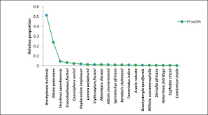 Image result for Scorodophloeus fischeri