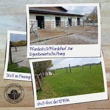 pferdestall mit 6 boxen paddock und weide zu verpachten pferdestalle stalle pferdehof