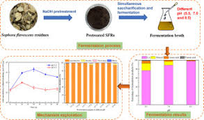 Then easily customize it to fit your needs. Effect Of Ph Regulation Mode On Byproduct Ethanol Generated From The Lactic Acid Fermentation Of Sophora Flavescens Residues Sciencedirect