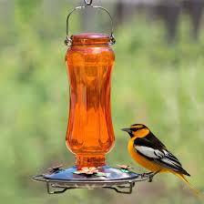 Here are some alternatives if your feeder can't handle hot water. Latitude Run Didona Carnival Glass Vintage Oriole Hummingbird Feeder Reviews Wayfair