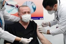 (sinovac) is a holding company. Oak0y0pjbk06lm