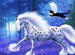 We did not find results for: Fantasy Forest Desktop Nexus Wallpapers Fantasy Horses Horse Wallpaper Horses