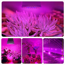 Led grow lights to afterpay / humm and zip pay accepted Full Spectrum E27 220v Led Plant Grow Light Bulb Luxe Home Botanicals