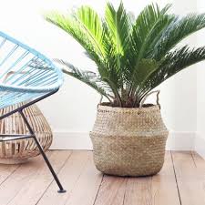 Panier Boule En Jonc De Mer Par Bloomingville Decoration Plante Deco Plantes De Decor De Maison