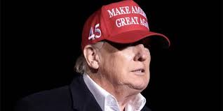 Trump's delay tactics pushed special master Dearie to respond with a  'master stroke' that helps the DOJ