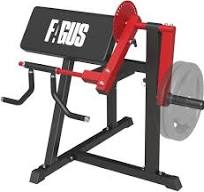 Máquina de flexión de bíceps de tríceps 2 en 1, máquina de extensión de  bíceps con placa cargada y tríceps, equipo de ejercicio para estación de ...