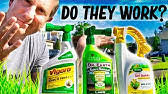 You must add nutes, and amend your soil…. Vigoro Fertilizers And Seeds The Home Depot Youtube