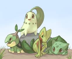 The background compliments this grass monkey pokémon, not taking away our main focus on grookey but instead adding to its adorableness with subtle touches of. Grass Pokemon Wallpapers Top Free Grass Pokemon Backgrounds Wallpaperaccess