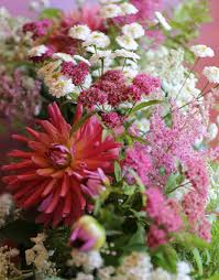 Pin On Amazing Garden Ideas