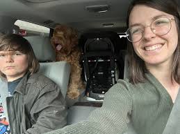 Fostering a dog that pees