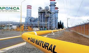 Se crea oficialmente la Asociación Peruana de Gas Natural y Combustibles Alternativos • El Gas Noticias