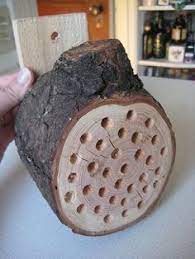 if you build it bees will come mason bee house bee house mason bees