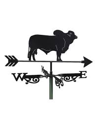 Brahman cattle are a preferred choice for cattle ranchers in the us gulf coast, southern u.s., and in countries all around the world with warm climates. Brahman Bull Weathervane Glenview Products