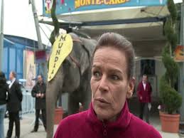 53 Annual Circus Festival Stock Videos, Footage, & 4K Video Clips