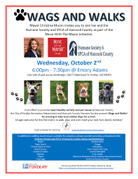See more ideas about adams county, dogs and puppies, rescue. Wags And Walks Newsroom City Of Findlay Oh