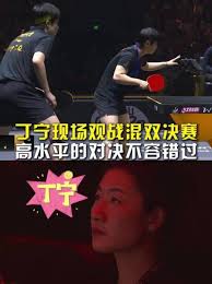 丁宁现场观战混双决赛！如此精彩的巅峰对决不容错过！_手机新浪网