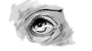 Augen zeichnen fuer anfaenger dekoking com in 2020 augen. 40 Kostenlose Augen Zeichnen Und Zeichnen Bilder Pixabay