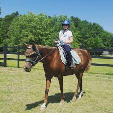 Gallop to the videos page and ride along with us as we overnight around the campfire near a quiet mountain trail at backcountry horse camp, surrounded by spectacular scenery. Horse Camps In South Carolina