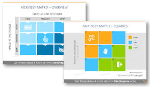 Product Portfolio With Mckinsey Matrix Design Examples