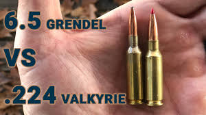 Ammo Showdown 6 5 Grendel Vs 224 Valkyrie