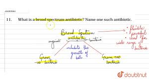 What Is A Broad Spectrum Antibiotic Name One Such Antibiotic Youtube