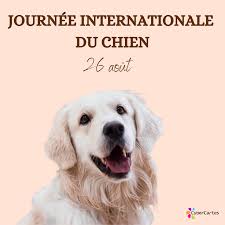 Cybercartes vous propose d'envoyer des cartes de voeux virtuelles gratuites pour faire plaisir à vos proches. Ivjk3xl6aooznm