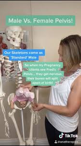 Check spelling or type a new query. Ana Therapies Male Vs Female Pelvis Our Skeletons