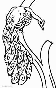 Peacock drawing pictures easy and beautiful | peacock coloring pages for kids | video 4k. Printable Peacock Coloring Pages For Kids