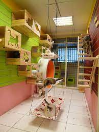 *five level platform cat tower with scratching posts for small to medium size cats climbing *tiered platforms provide. Catswall A Modular Cat Climbing Wall Perfect For You Pet Cat Room Cat Climbing Wall Cat Play Rooms