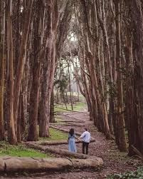 5 Romantic Day Hikes In The Bay Area Bay Area Hikes Day Hike Places In San Francisco