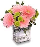 We work with local florists and flower shops to offer same day delivery. About Us Flowers By Bob Inc Maynardville Tn