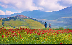 In 1920 there were 7 norcia families living in ohio. Norcia Life In Italy
