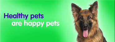 Our madison veterinarians and staff are dedicated to providing the best medical care possible to keep your pet happy and healthy! Helping Paws Vet Clinic