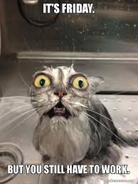Check spelling or type a new query. It S Friday But You Still Have To Work Cat Bath Make A Meme
