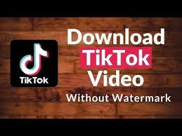 How To Download Tiktok Videos Without Watermark Use Hashtag Username In 2020 Video Watermark Videos