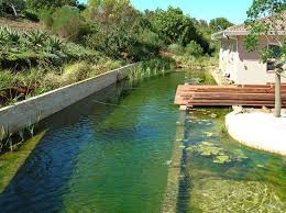 Wie Viel Darf Ein Schwimmteich Kosten Diy Pooldesign Zenideen Schwimmteich Wasserbecken Garten Naturschwimmbader