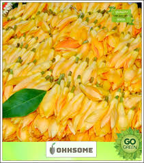 We did not find results for: Ohhsome Shade Tree With Flowers Champa Perfume Tree For Germination Seeds Kitchen Garden Seeds Pack Seed 10 Per Packet Buy Online In Bahamas At Bahamas Desertcart Com Productid 145674651