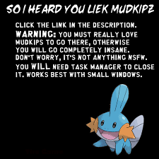 So I Herd You Liek Mudkipz