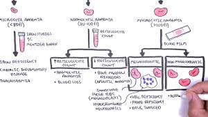 Anaemia Anemia Classification Microcytic Normocytic And Macrocytic And Pathophysiology