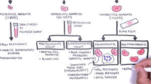 anaemia anemia classification microcytic normocytic and macrocytic and pathophysiology